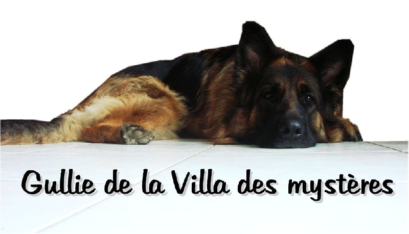 Gullie de la Villa des Mystères